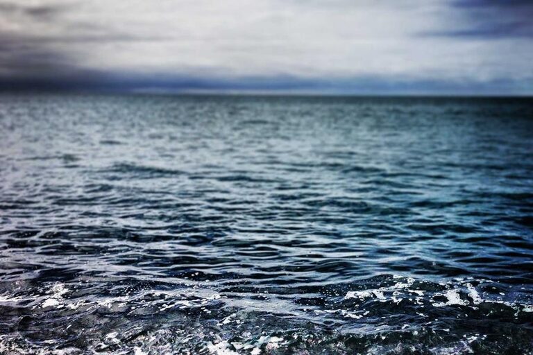 resized_19_fallback
